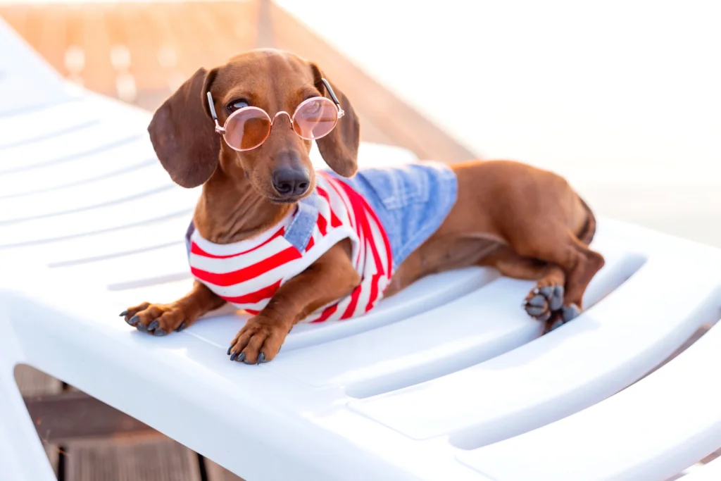 Best Cruise Activities