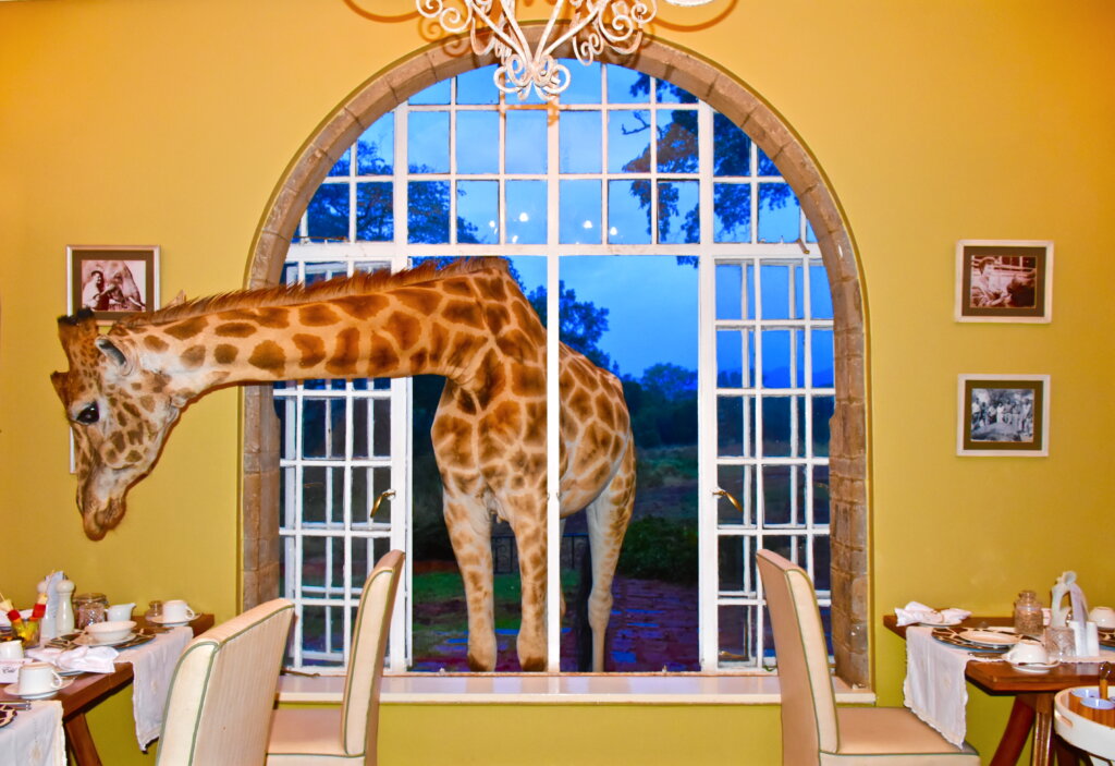 Best Wildlife Hotels in the World