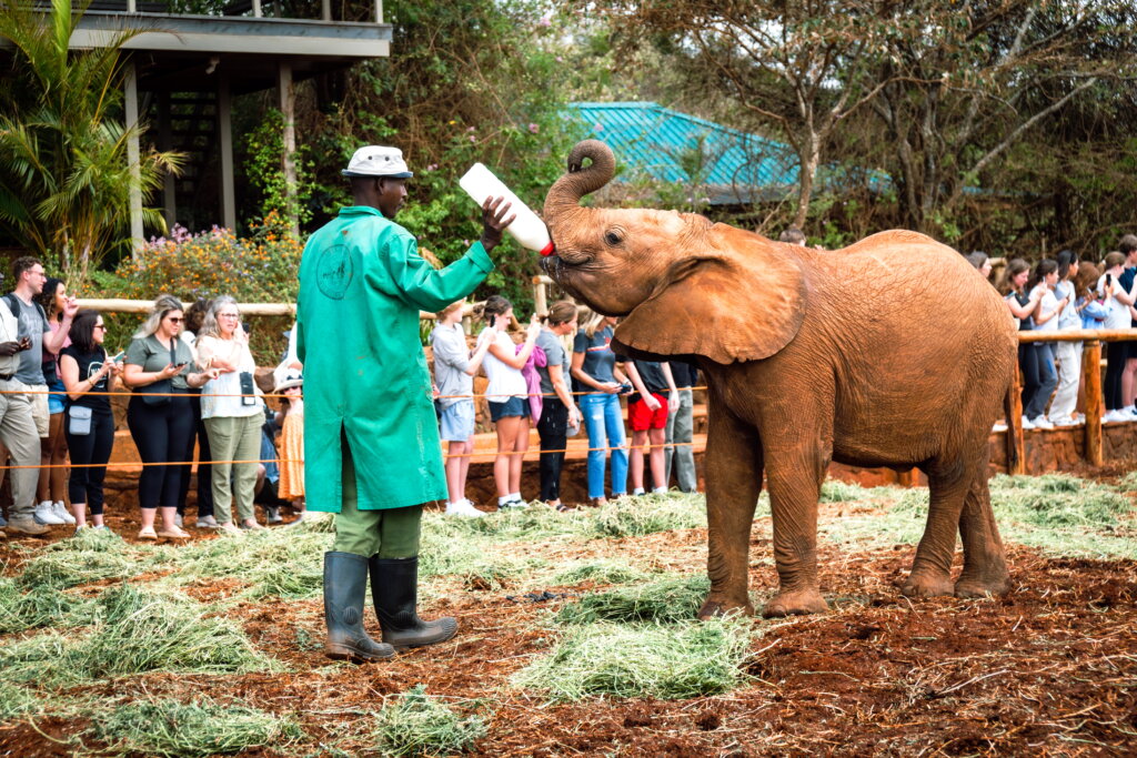 Littlest Wildlife Hotel