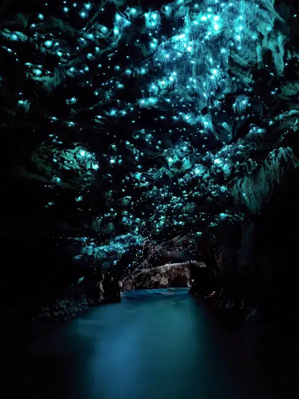 Waitomo Caves in North Island, New Zealand - experience the glow worm caves