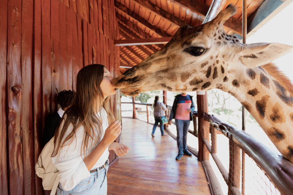 Wildlife Safari Hotel