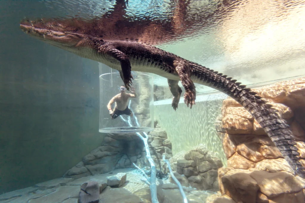 unique travel activities