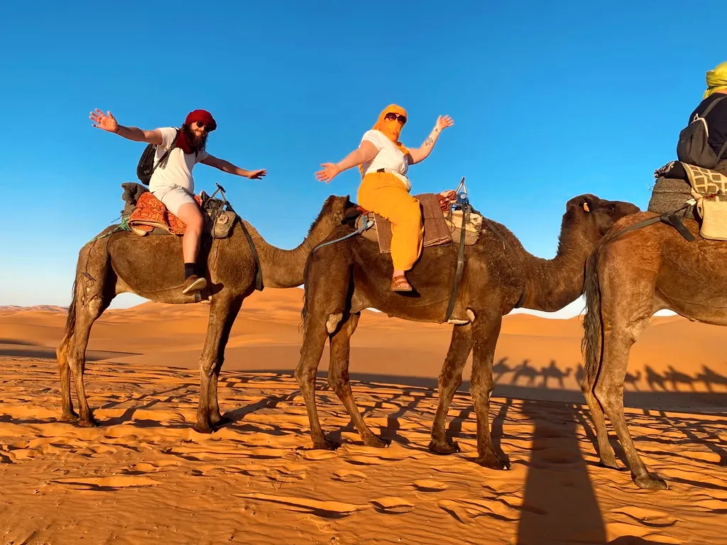 journee mystery trip