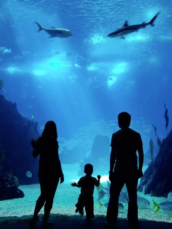 Underwater restaurant in Norway - dining in the ocean